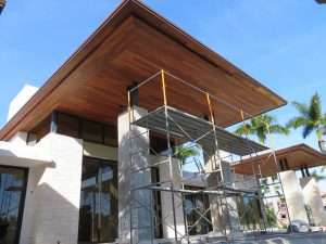 About Cumaru 2 IMG 0037